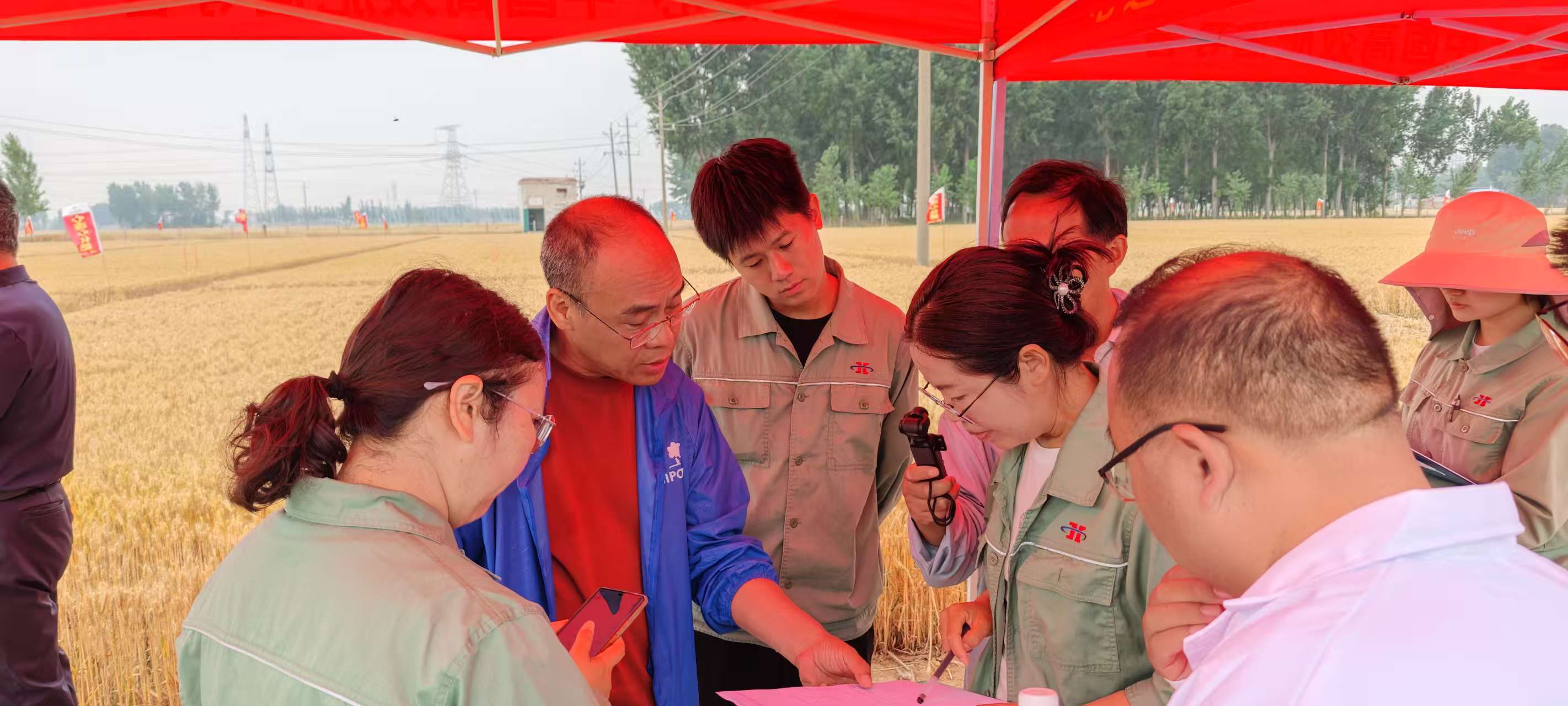 高溫旱情下科技賦能農(nóng)業(yè)！心連心集團(tuán)主持的兩個(gè)“十四五”課題交出亮眼成績(jī)單