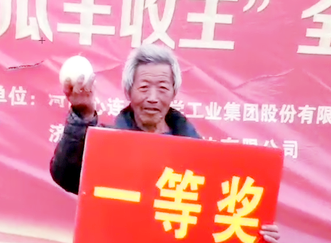 喻屯甜瓜“豐收王”