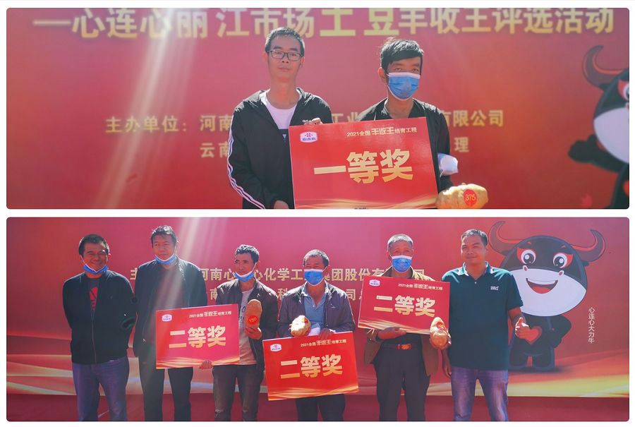 喜迎豐收，薯王爭(zhēng)霸！——心連心麗江市場(chǎng)土豆豐收王評(píng)選活動(dòng)成功舉行